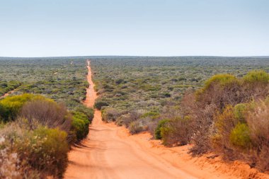 Batı Avustralya 'daki Shark Körfezi' ne giden kırmızı kum yolu.