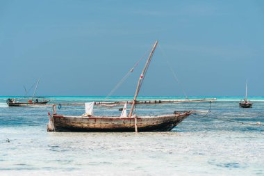 Zanzibar dhows, geleneksel tekneler, demirde.