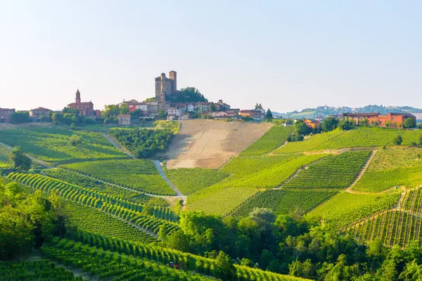 İtalya 'nın Serralunga dAlba kentini çevreleyen üzüm bağları, bölgede şarap üretimi ve mimarisini gözler önüne seriyor..