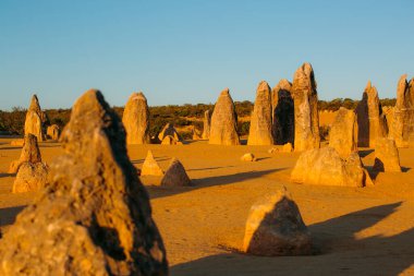 Altın ışık, Batı Avustralya 'daki Pinnacles antik kaya oluşumlarını aydınlatır..