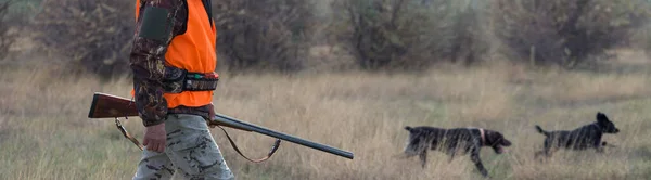 手に銃を持った男と曇りの日に森の中でキジ狩りをするオレンジのベスト ゲームを求めて犬とハンター — ストック写真