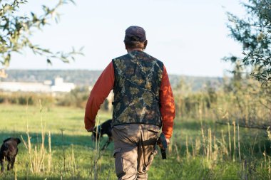 Mature hunter man holding a shotgun and walking through a field clipart