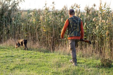 Olgun bir avcı elinde pompalı tüfekle tarlada yürüyor.