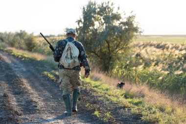Olgun bir avcı elinde pompalı tüfekle tarlada yürüyor.