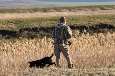 Olgun bir avcı elinde pompalı tüfekle tarlada yürüyor.