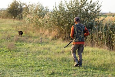 Olgun bir avcı elinde pompalı tüfekle tarlada yürüyor.