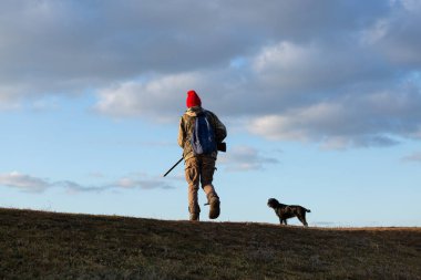 Mature hunter man holding a shotgun and walking through a field clipart