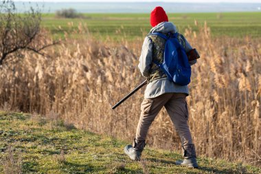 Olgun bir avcı elinde pompalı tüfekle tarlada yürüyor.