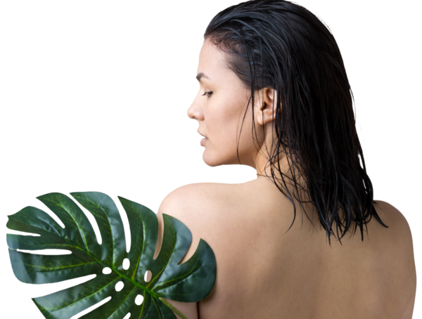 Doğal yeşil palmiye yaprağı portresi olan bir kadın. Moda, güzellik, makyaj, kozmetik.