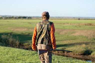 Mature hunter man holding a shotgun and walking through a field clipart