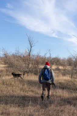 Mature hunter man holding a shotgun and walking through a field clipart