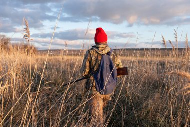 Olgun bir avcı elinde pompalı tüfekle tarlada yürüyor.