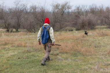 Olgun bir avcı elinde pompalı tüfekle tarlada yürüyor.