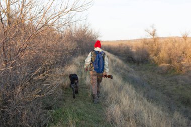 Olgun bir avcı elinde pompalı tüfekle tarlada yürüyor.