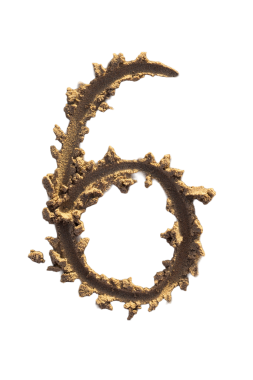 Altı numara kumlu bir plajda yazılmış. El yazısı karakter koleksiyonu.