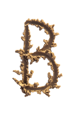 Alfabe (B) harfleri kumsalda el yazısıyla yazılmış.