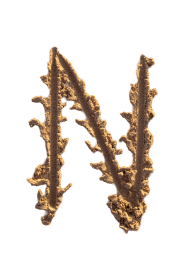 Alfabe (N) harfleri kumsalda el yazısıyla yazılmış.