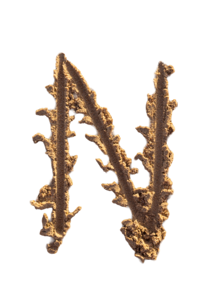 Alfabe (N) harfleri kumsalda el yazısıyla yazılmış.