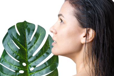 Doğal yeşil palmiye yaprağı portresi olan bir kadın. Moda, güzellik, makyaj, kozmetik.