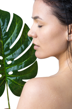 Doğal yeşil palmiye yaprağı portresi olan bir kadın. Moda, güzellik, makyaj, kozmetik.