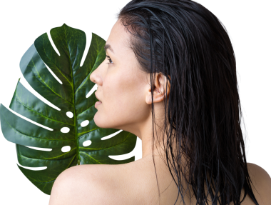 Doğal yeşil palmiye yaprağı portresi olan bir kadın. Moda, güzellik, makyaj, kozmetik.