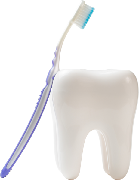 Beyaz diş ve beyaz arka planda renkli diş fırçası, diş bakımı konsepti