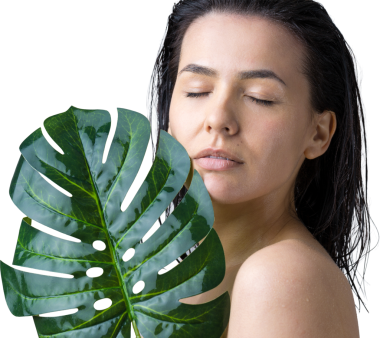 Doğal yeşil palmiye yaprağı portresi olan bir kadın. Moda, güzellik, makyaj, kozmetik.