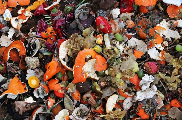 Discarded food and kitchen waste in a garbage heap