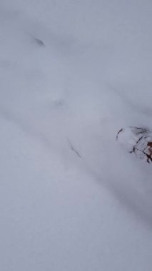 Video of a woman walking through the snow