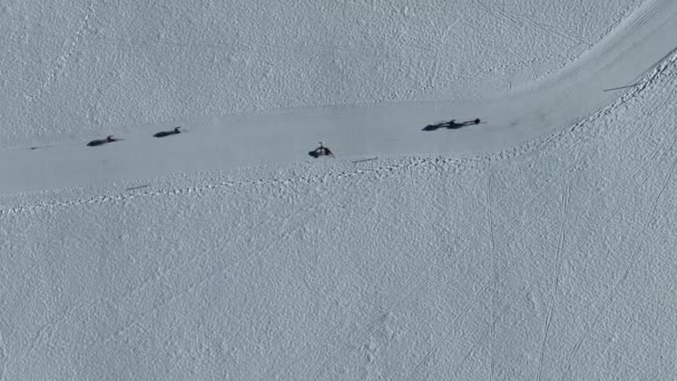 雪の中で冬のスポーツ バイエルン州の冬のクロスカントリースキーやスケート選手 — ストック動画