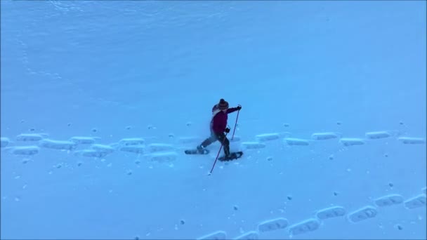 Βίντεο Drone Των Γυναικών Αναβάτη Snowshoe Τρέχει Μέσα Από Χιόνι — Αρχείο Βίντεο