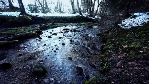 Egy Sötét Elvarázsolt Folyó Téli Erdőben — Stock videók