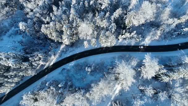 Drone Video Bend Road Traffic Winter — Stock Video