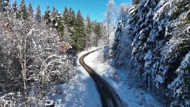 Drone Video Drogi Zaśnieżonym Lesie Zimie — Wideo stockowe