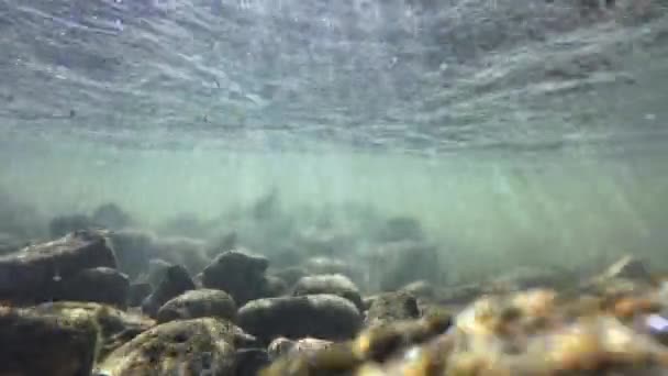 Vídeo Subaquático Córrego Com Pedras Raios Sol Água Corrente — Vídeo de Stock
