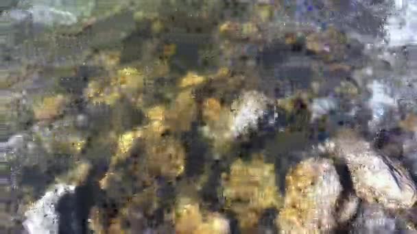 Video Van Een Stromende Stroom Met Stenen Schoon Water — Stockvideo