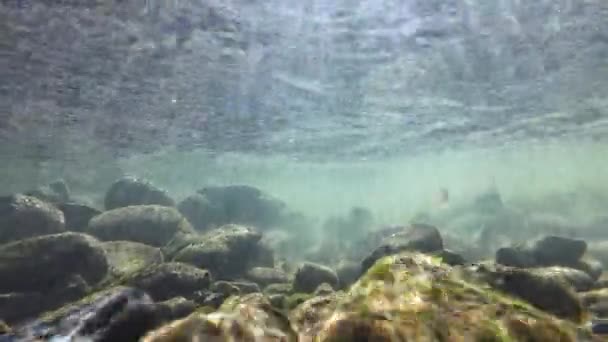 Vídeo Subaquático Córrego Com Pedras Raios Sol Água Corrente — Vídeo de Stock