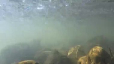 Akan suda taşların ve güneş ışınlarının olduğu bir derenin sualtı videosu.