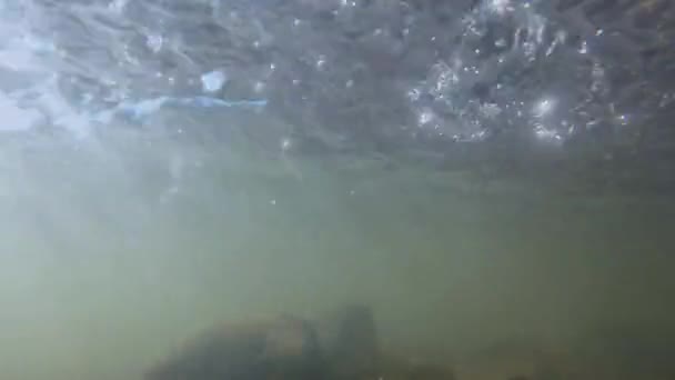 Podvodní Video Potoka Kameny Slunečními Paprsky Tekoucí Vodě — Stock video