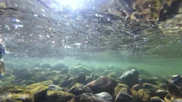 Подводное Видео Потока Камнями Солнечными Лучами Текущей Воде Замедленной Съемке — стоковое видео