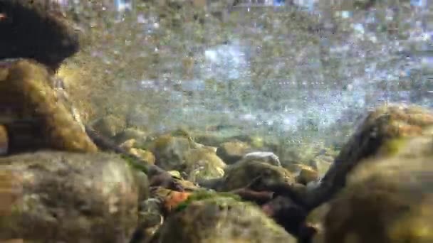 流れる水の中の石と日光の流れの水中ビデオ — ストック動画