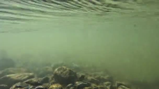 흐르는 햇빛과 흐름의 비디오 — 비디오