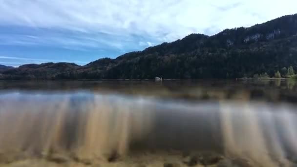 Acima Debaixo Água Vídeo Galo Lago Baviera — Vídeo de Stock