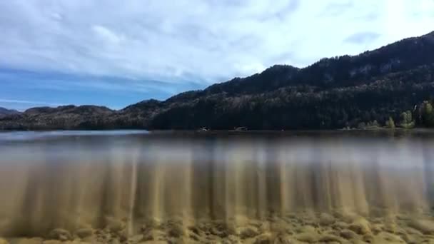 Πάνω Και Υποβρύχιο Βίντεο Δύο Πάπιες Μια Λίμνη Στη Βαυαρία — Αρχείο Βίντεο