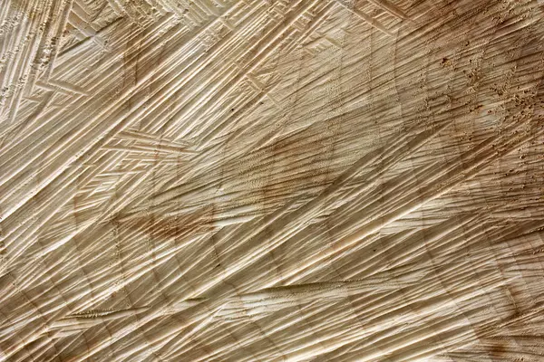 Kesilmiş bir ağaç gövdesinin ahşap arka planı