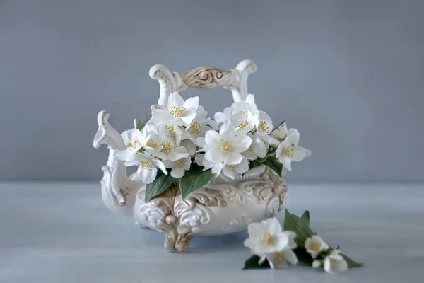 Zátiší Jasmínovými Květy — Stock fotografie