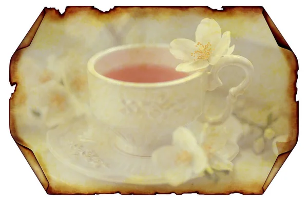 Still Life Tea Jasmine Old Paper — Stock Photo, Image