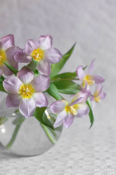 Csokor Megfordult Tulipán Egy Vázában Jogdíjmentes Stock Fotók