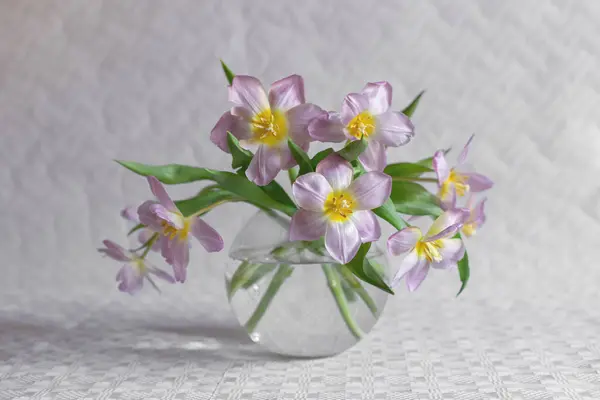 花束は花瓶でチューリップを巻きました ロイヤリティフリーのストック画像