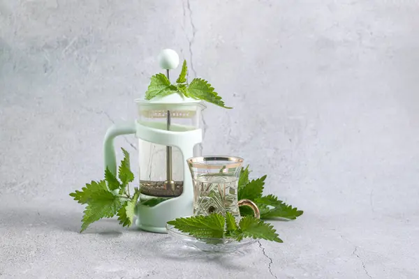 新鲜的荨麻茶 免版税图库图片